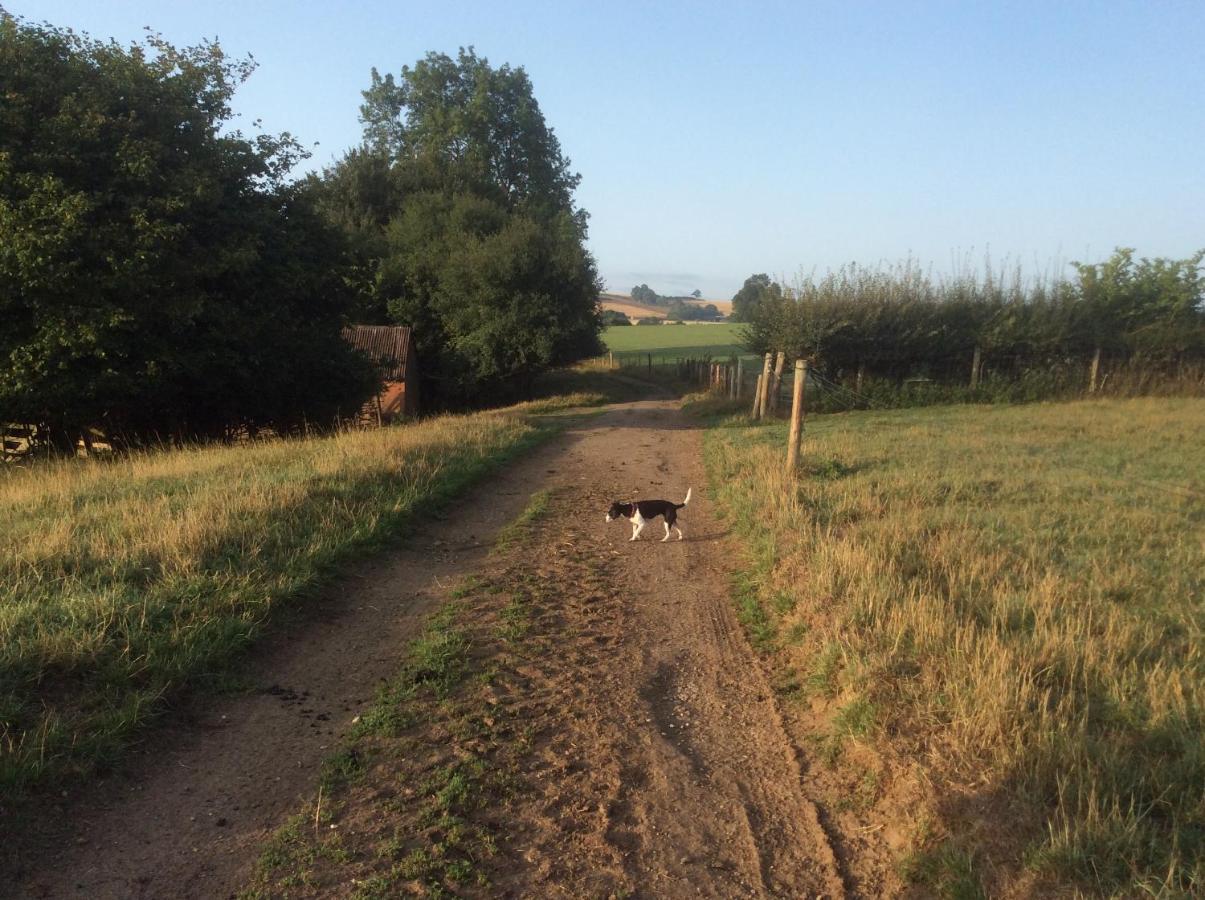 The Rear Of The Plough,Everdon. Daventry Εξωτερικό φωτογραφία